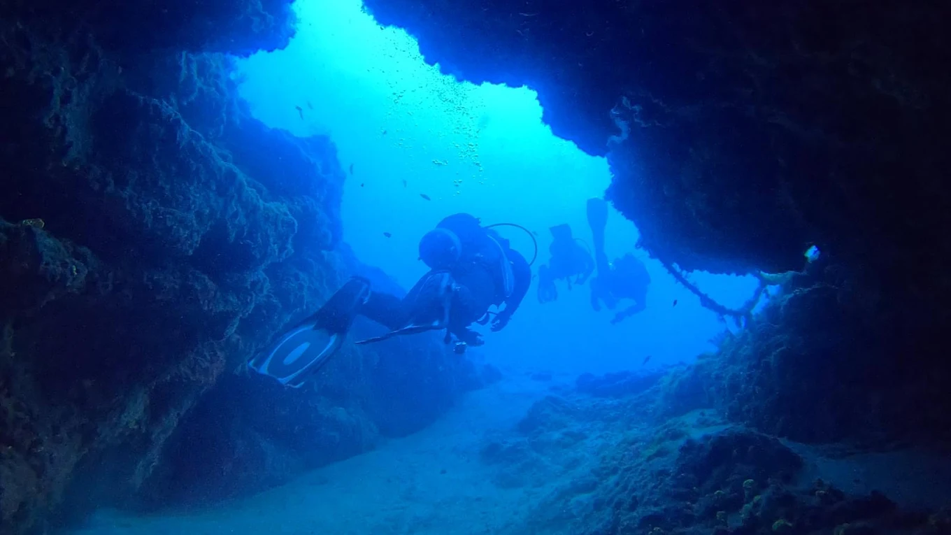 Diving & Snorkeling in Puerto Calero photo 4