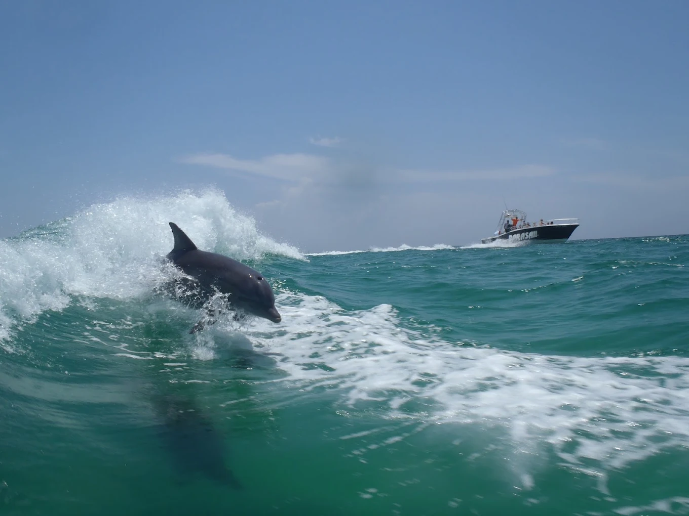 Destin Dolphin Cruise