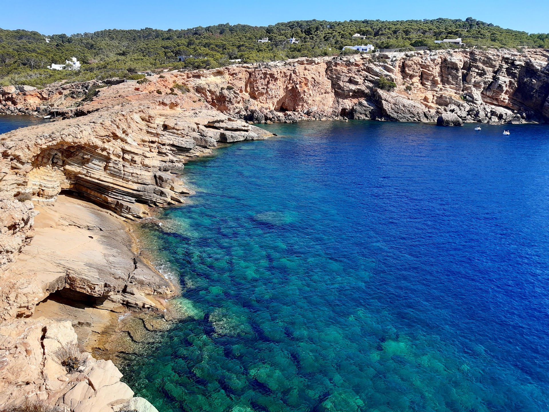 Snorkeling in Talamanca photo 1