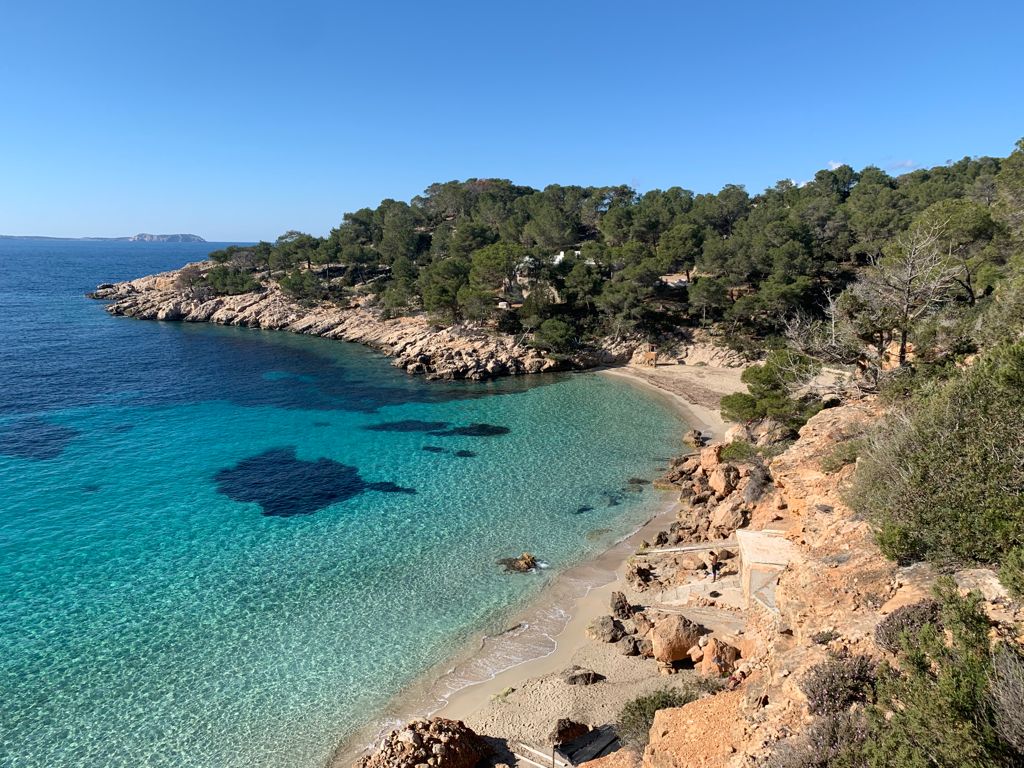 Snorkeling in Talamanca photo 5