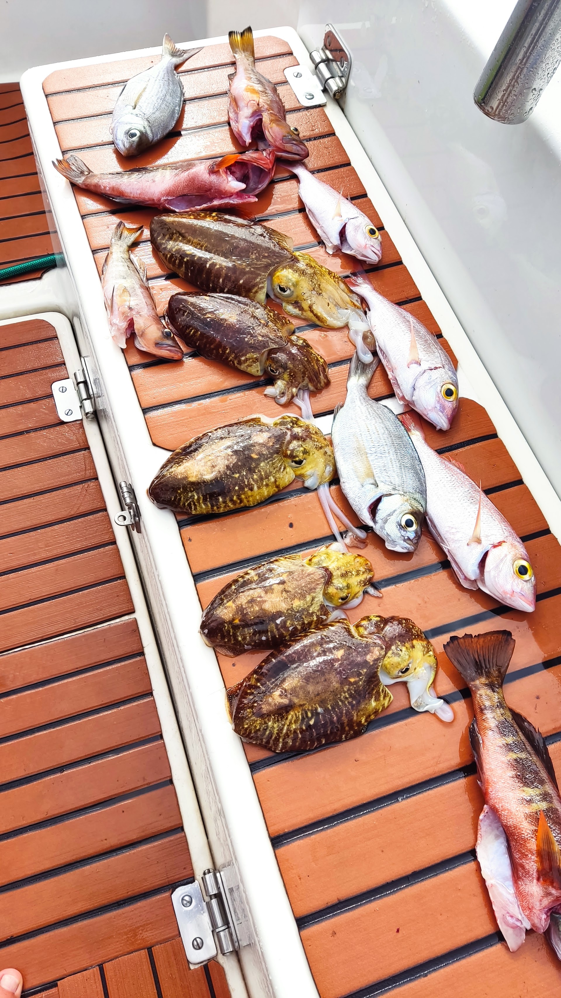 Fishing PDC photo 2