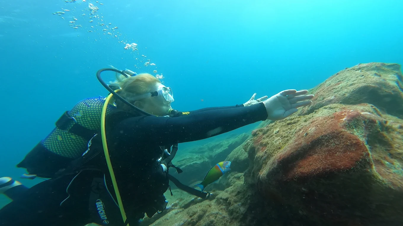 PADI 5* Travel Sub Dive Center Tenerife