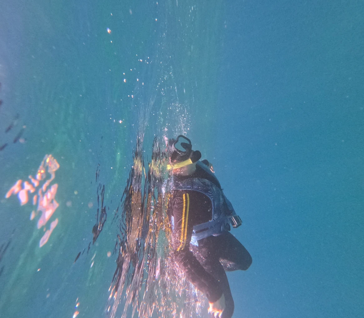 Diving & Snorkeling in La Caleta photo 2