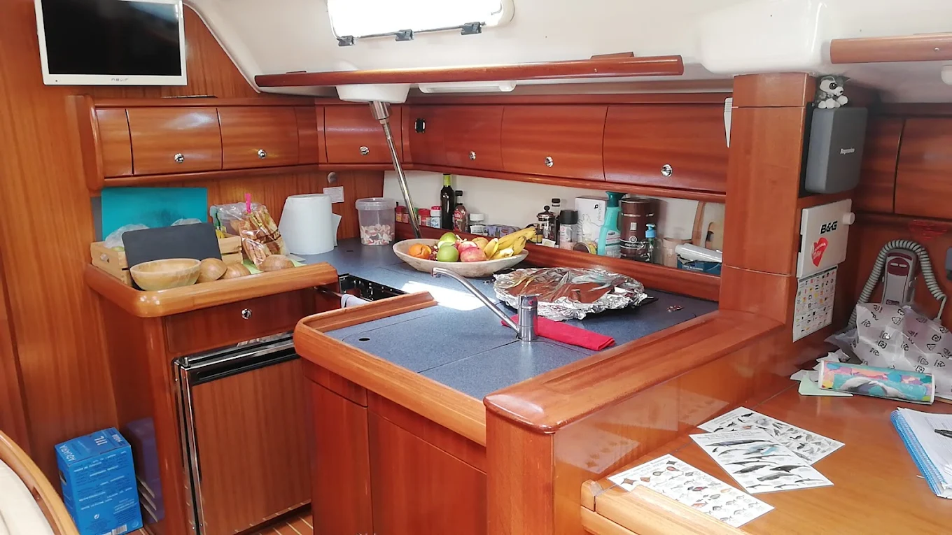 Whale watching | Big Smile Luxury Charters Tenerife