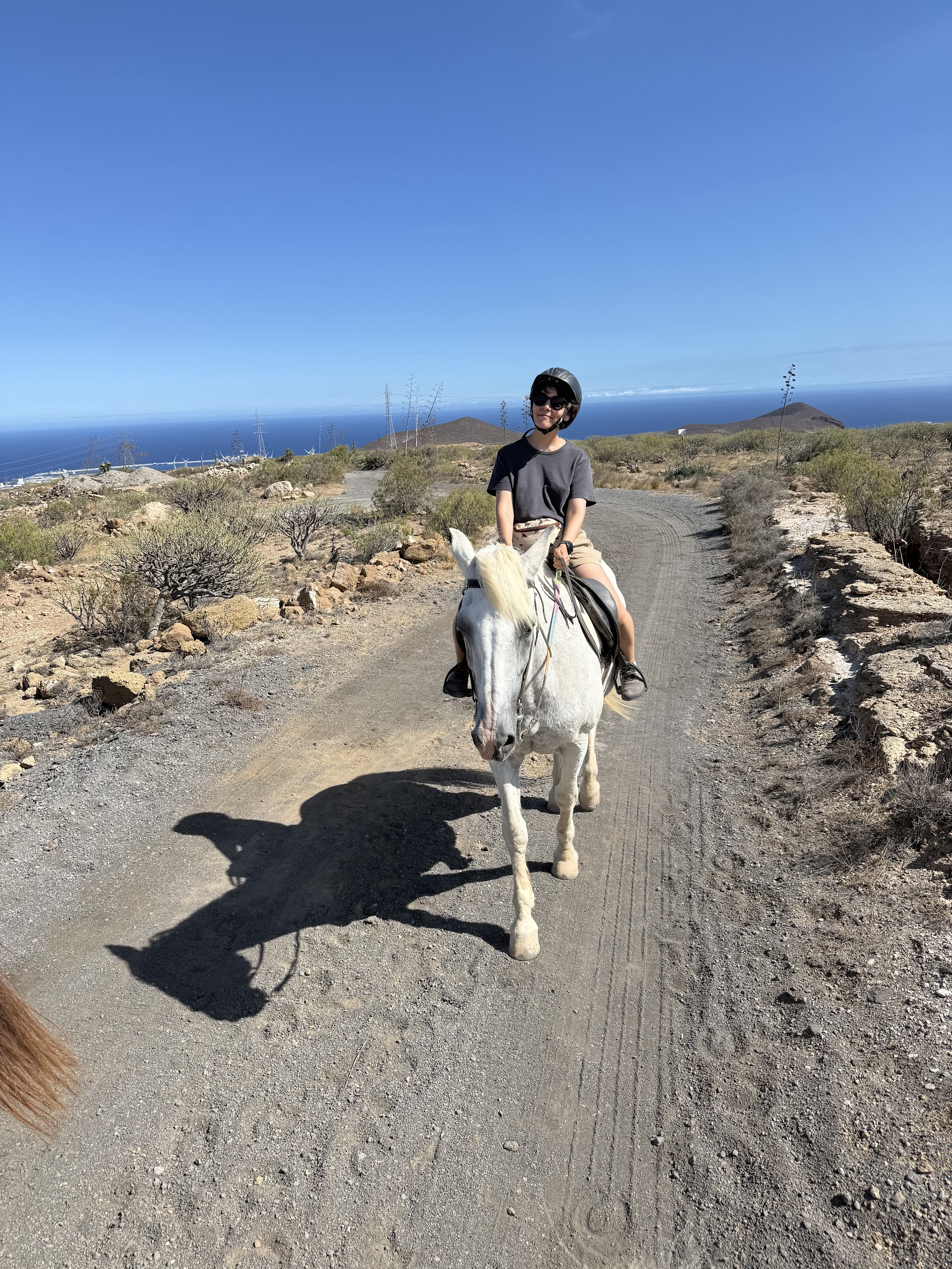 Horseback SB photo 1