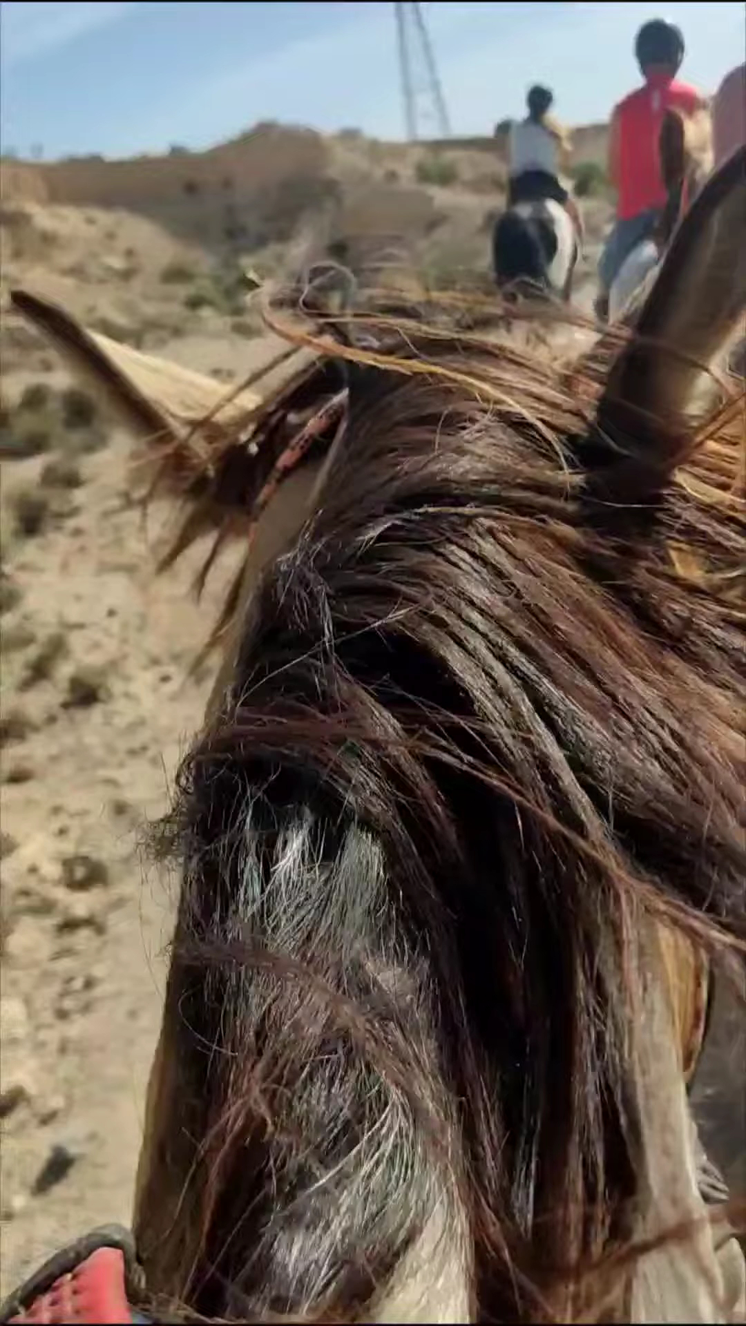 Horseback SB photo 3