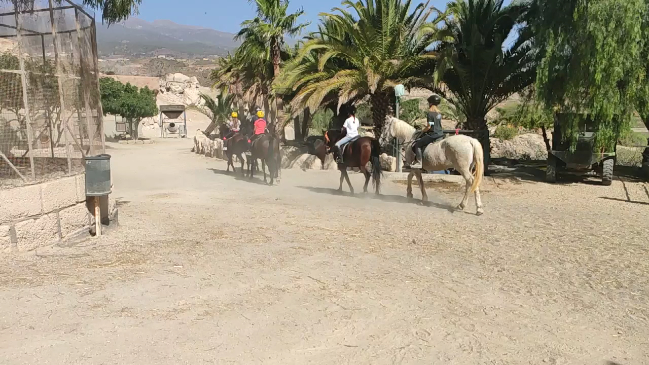 Horseback SB photo 4