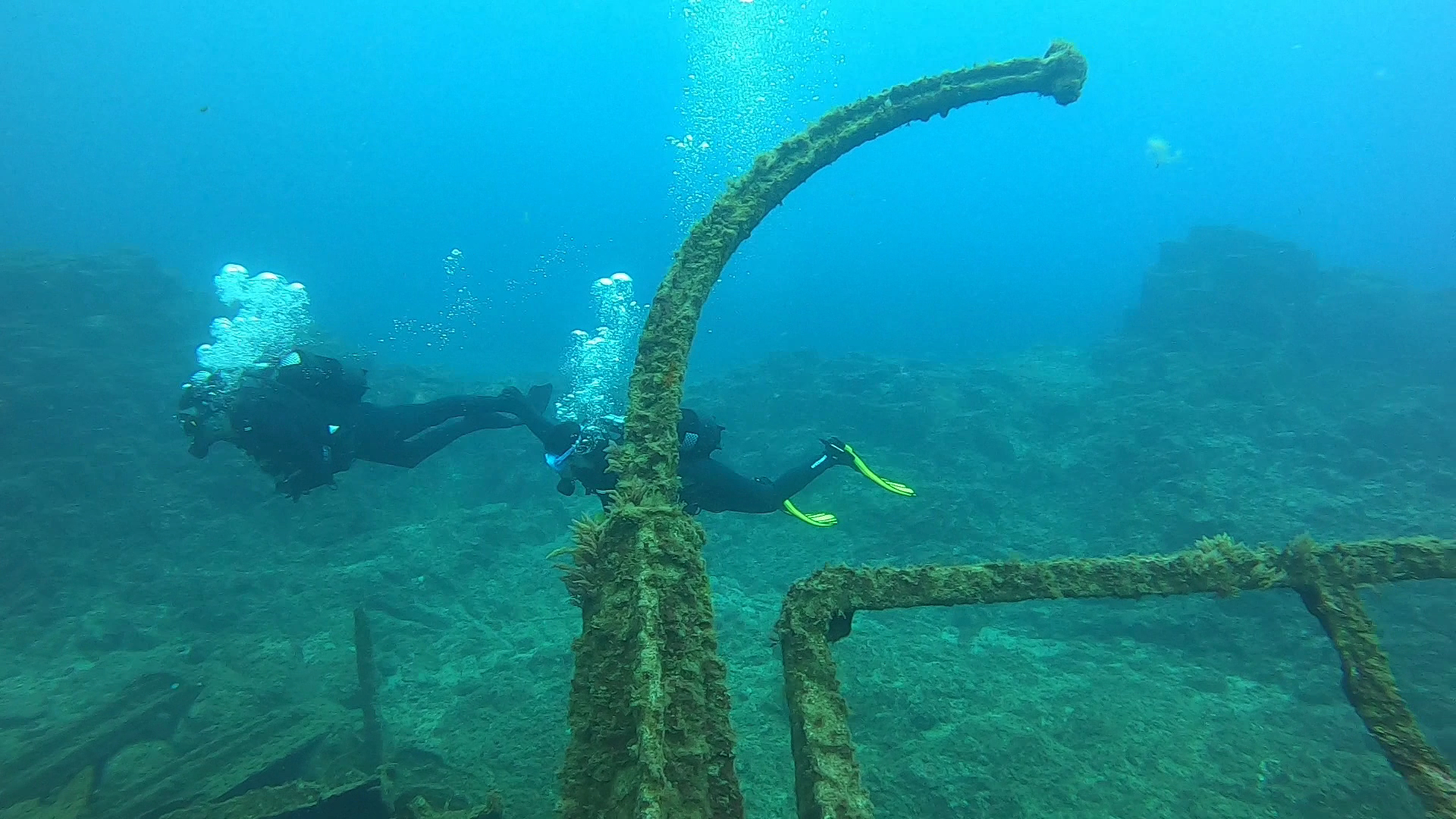 Scuba Courses in Playa de las Américas photo 3