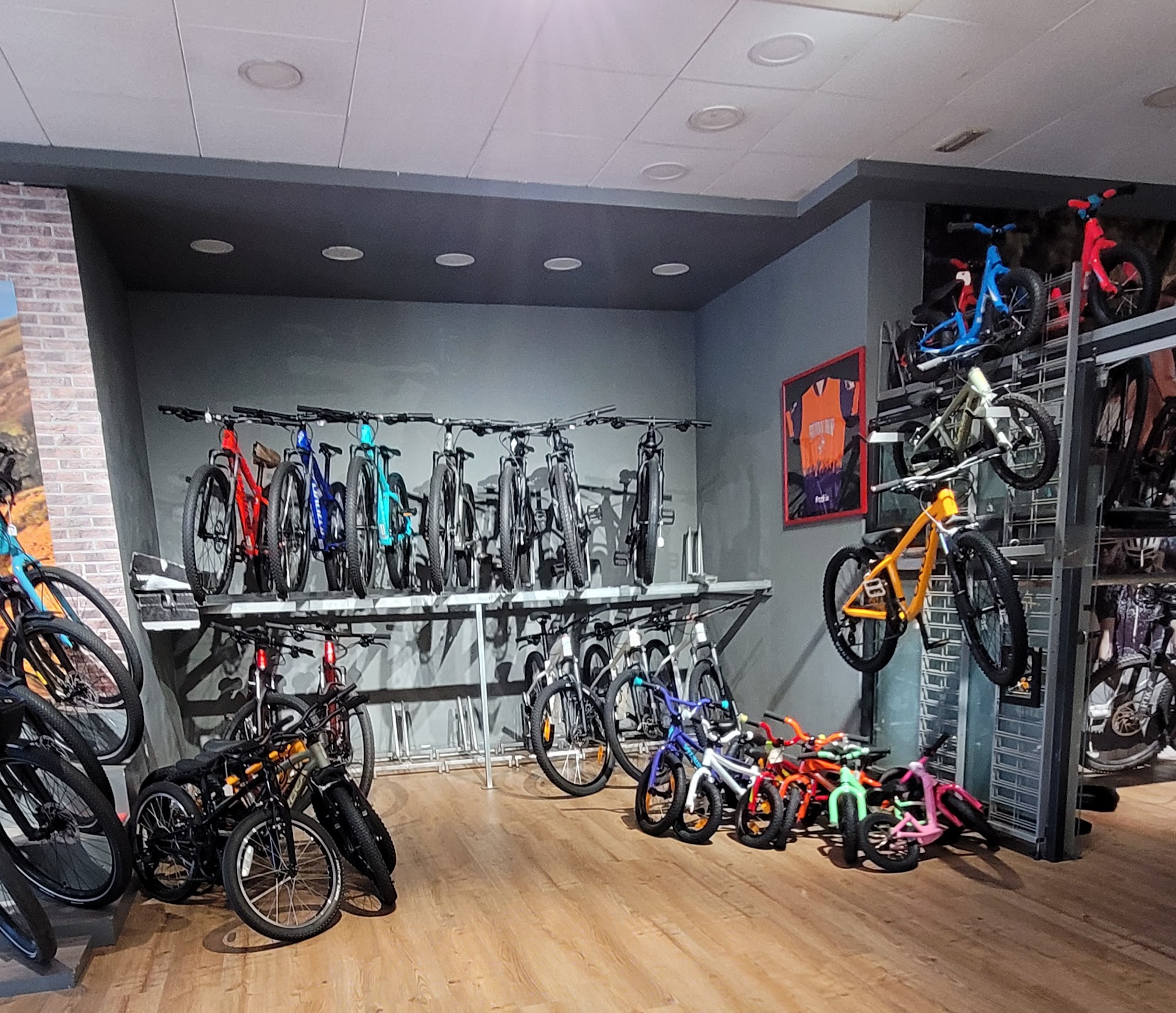 Mountain Bike Rental in Binibeca photo 4