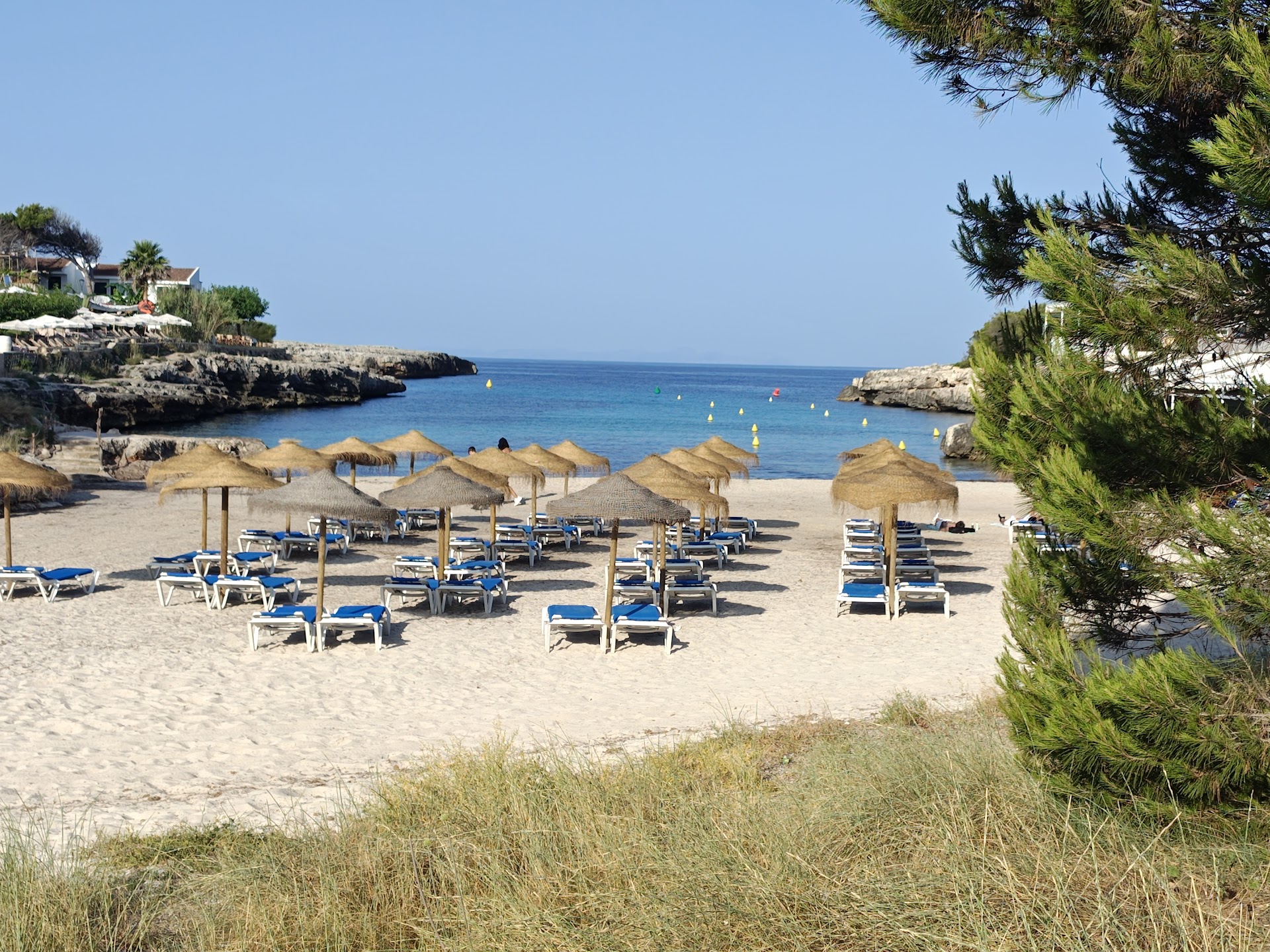 Paragliding in Cala Blanca photo 2