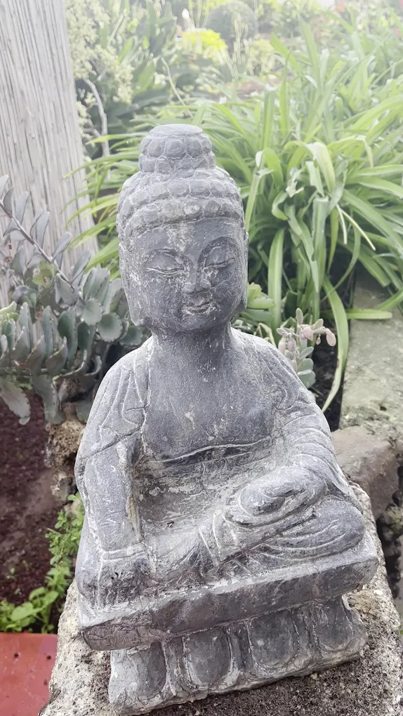 Wellness Retreat in Puerto de la Cruz photo 2
