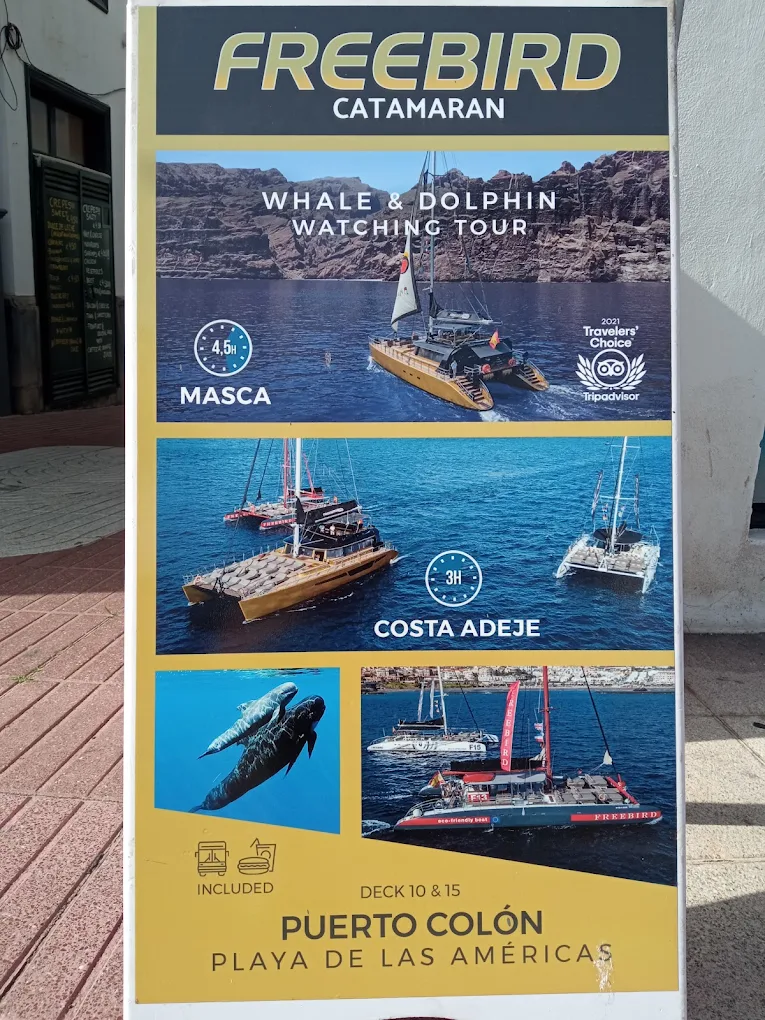 Sunset Cruise in Puerto de la Cruz photo 3