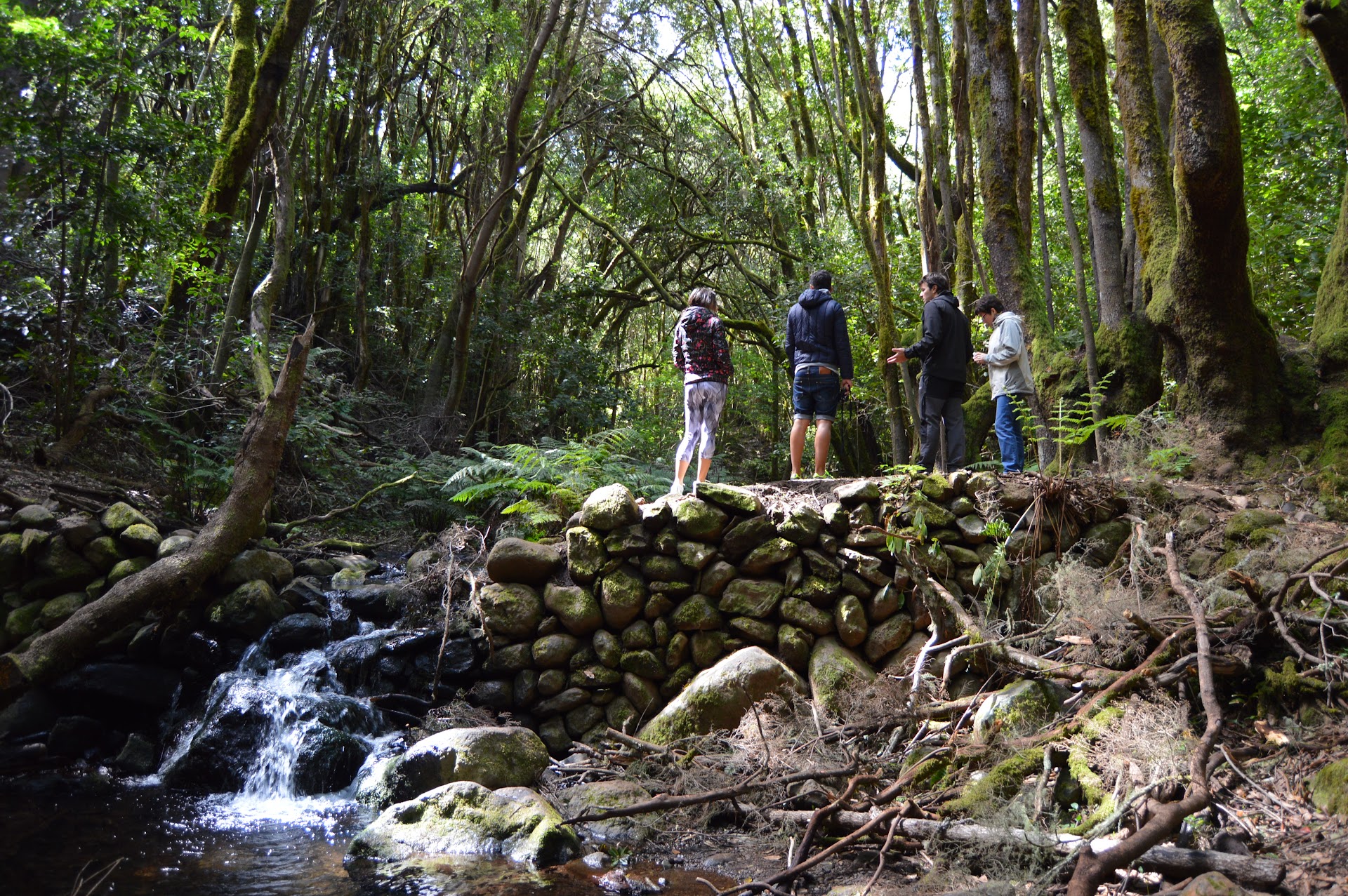YMAGUARA Turismo sostenible, Desarrollo rural
