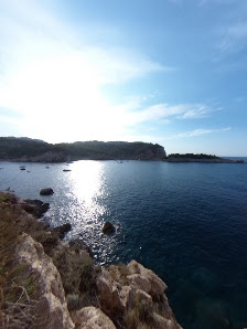 Dolphin Watching in Santa Gertrudis photo 5