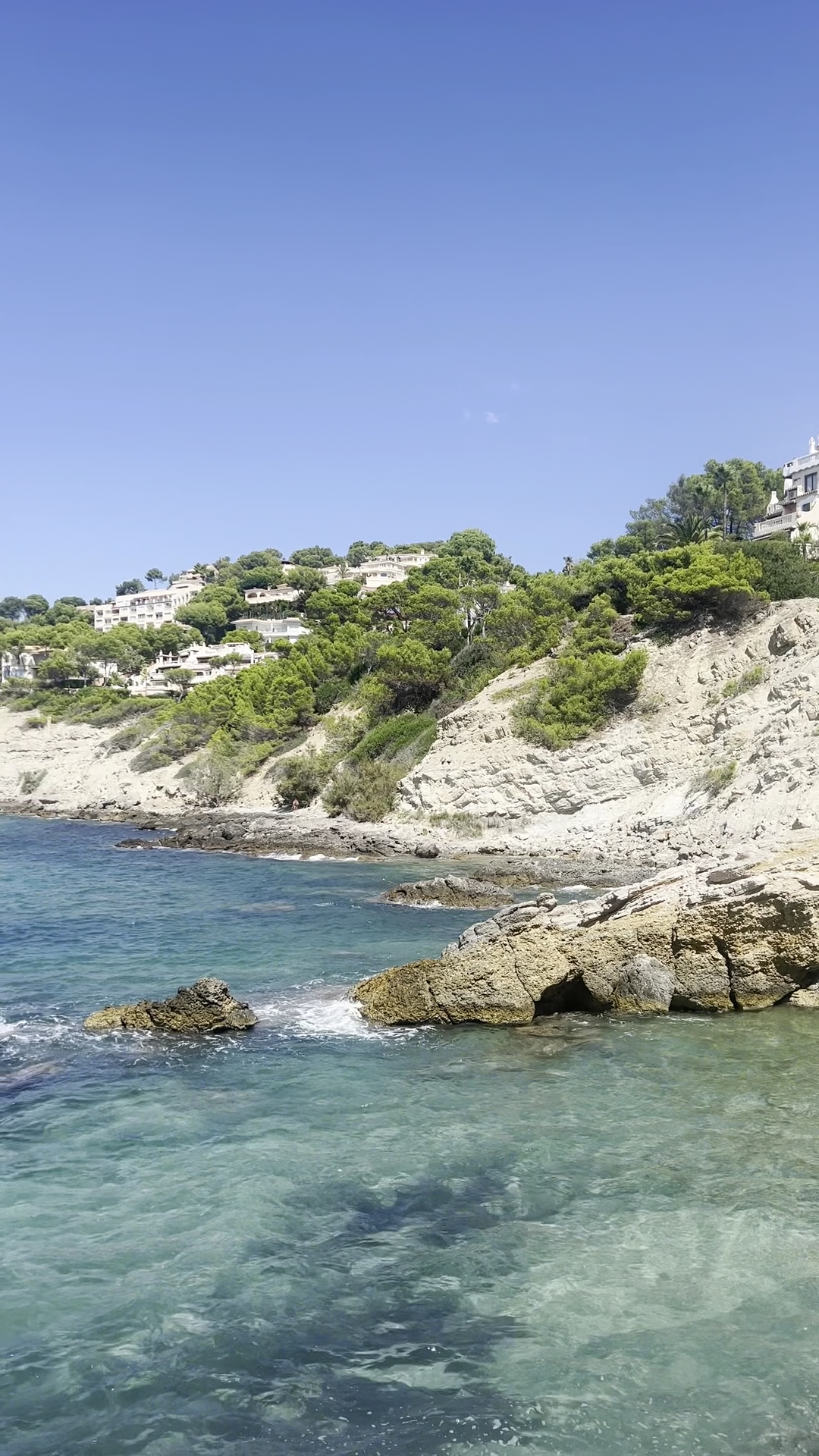 Beach Club & Bali Beds in Santa Ponsa photo 3
