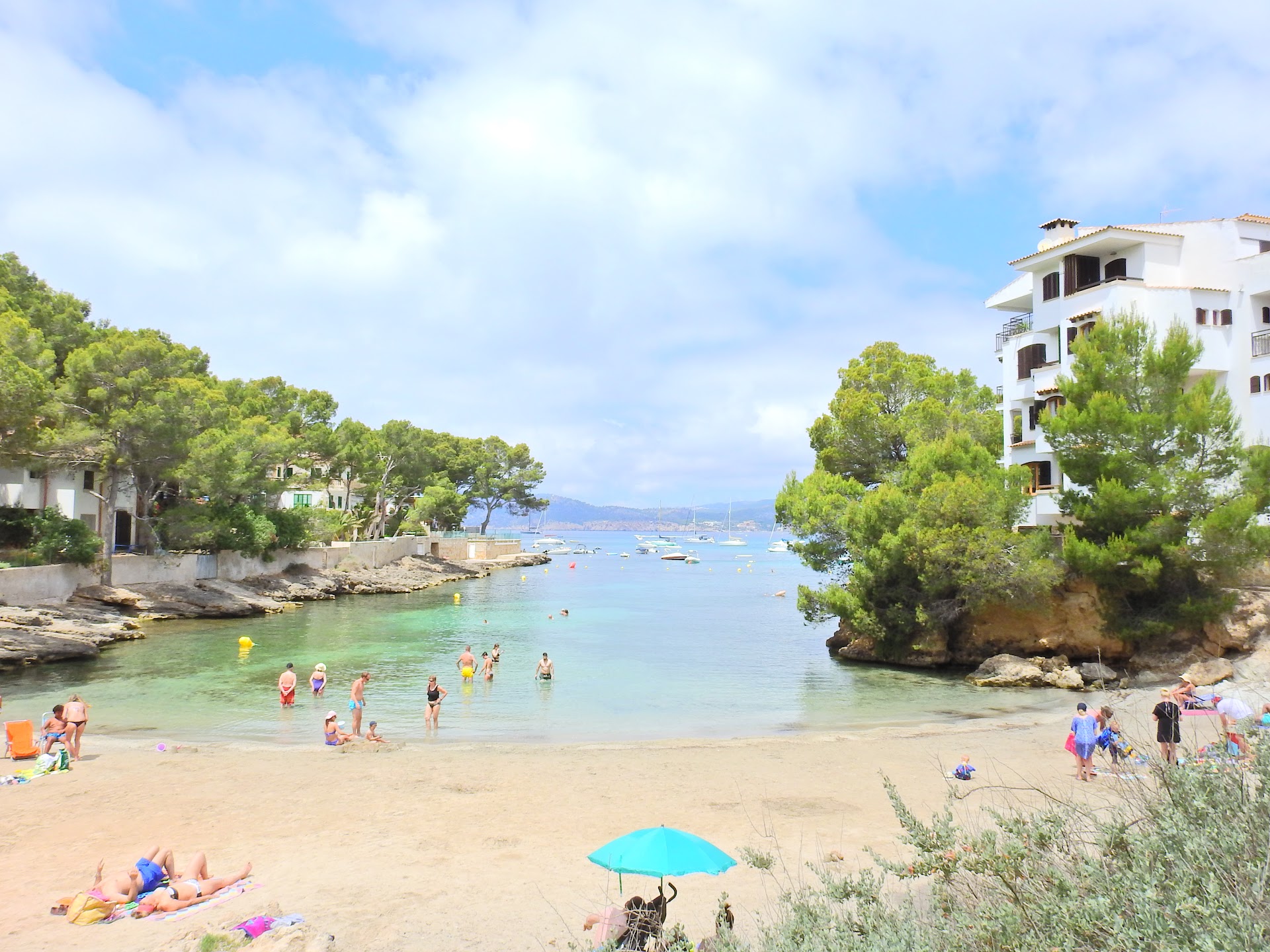 Beach Club & Bali Beds in Santa Ponsa photo 5
