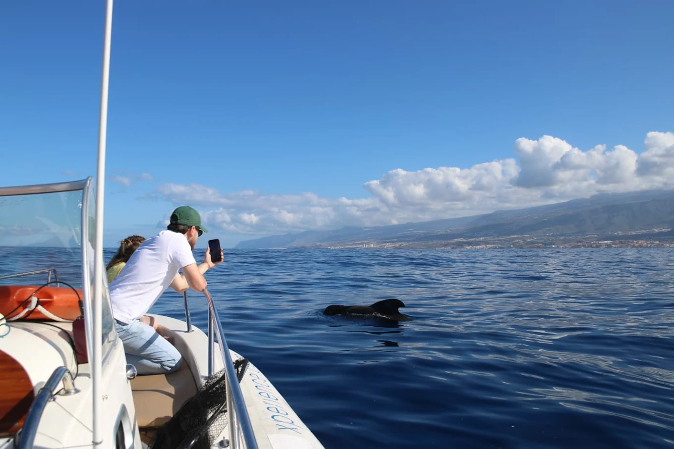 Whale Watching in La Laguna photo 4
