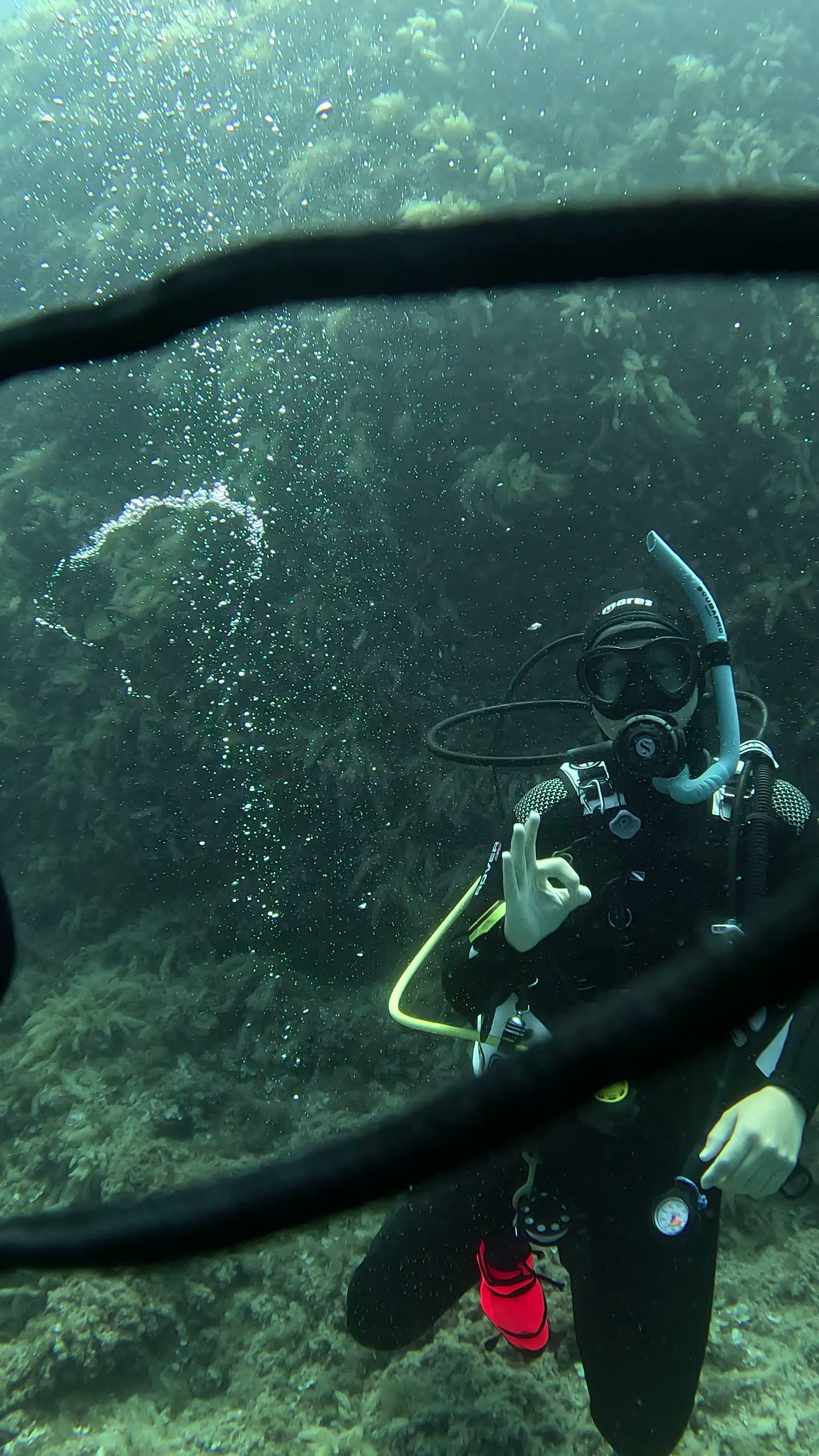 Scuba Courses in Cala Pi photo 2