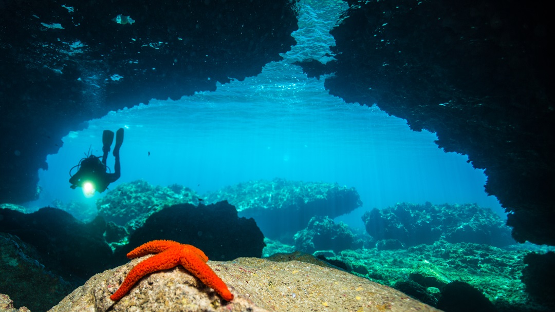Scuba Courses in Cala Pi photo 5