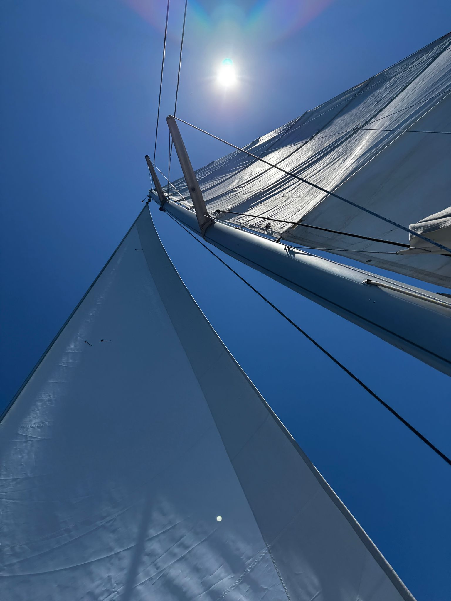 Catamaran Cruise in Port d'Andratx photo 2