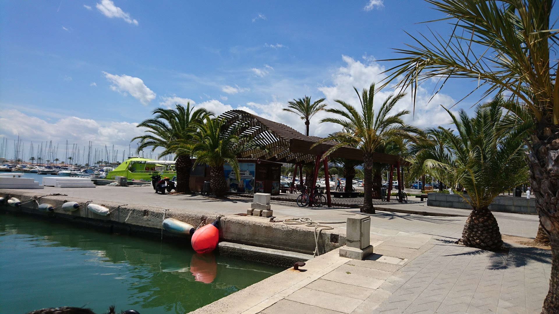 Catamaran Cruise in Port d'Alcúdia photo 5