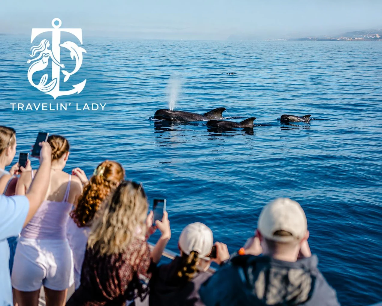 Whale Watching in Los Cristianos photo 5