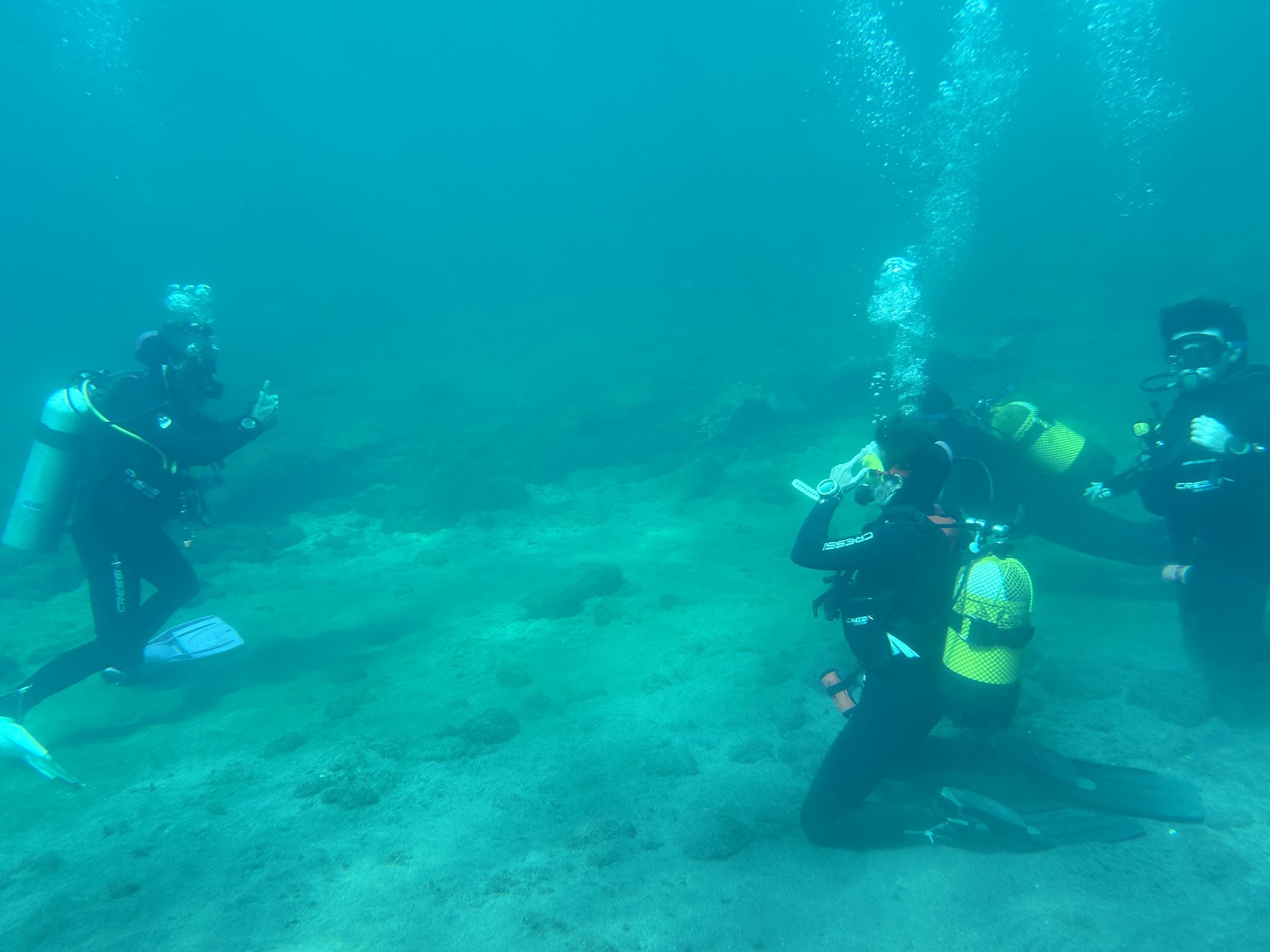 Buceo La Vieja ,Padi Dive Center / Emoción Apnea