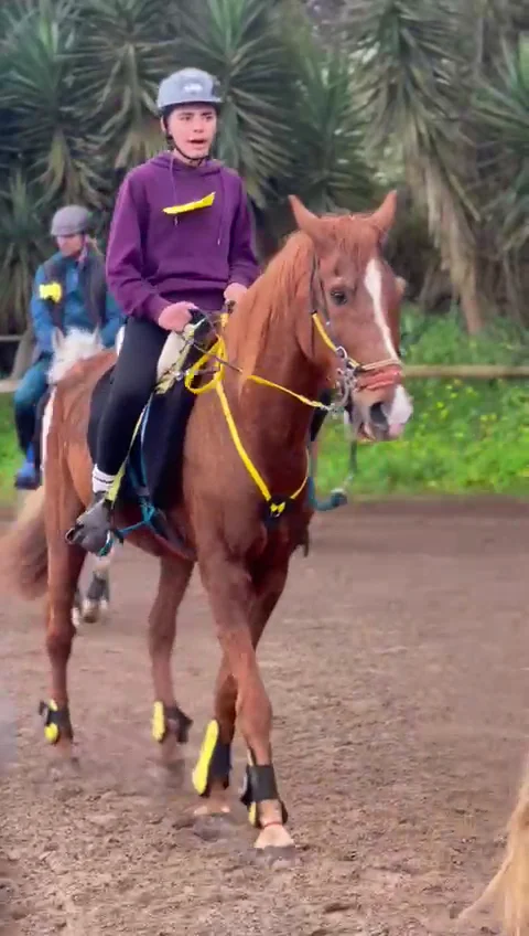 Horseback Riding in El Médano photo 3
