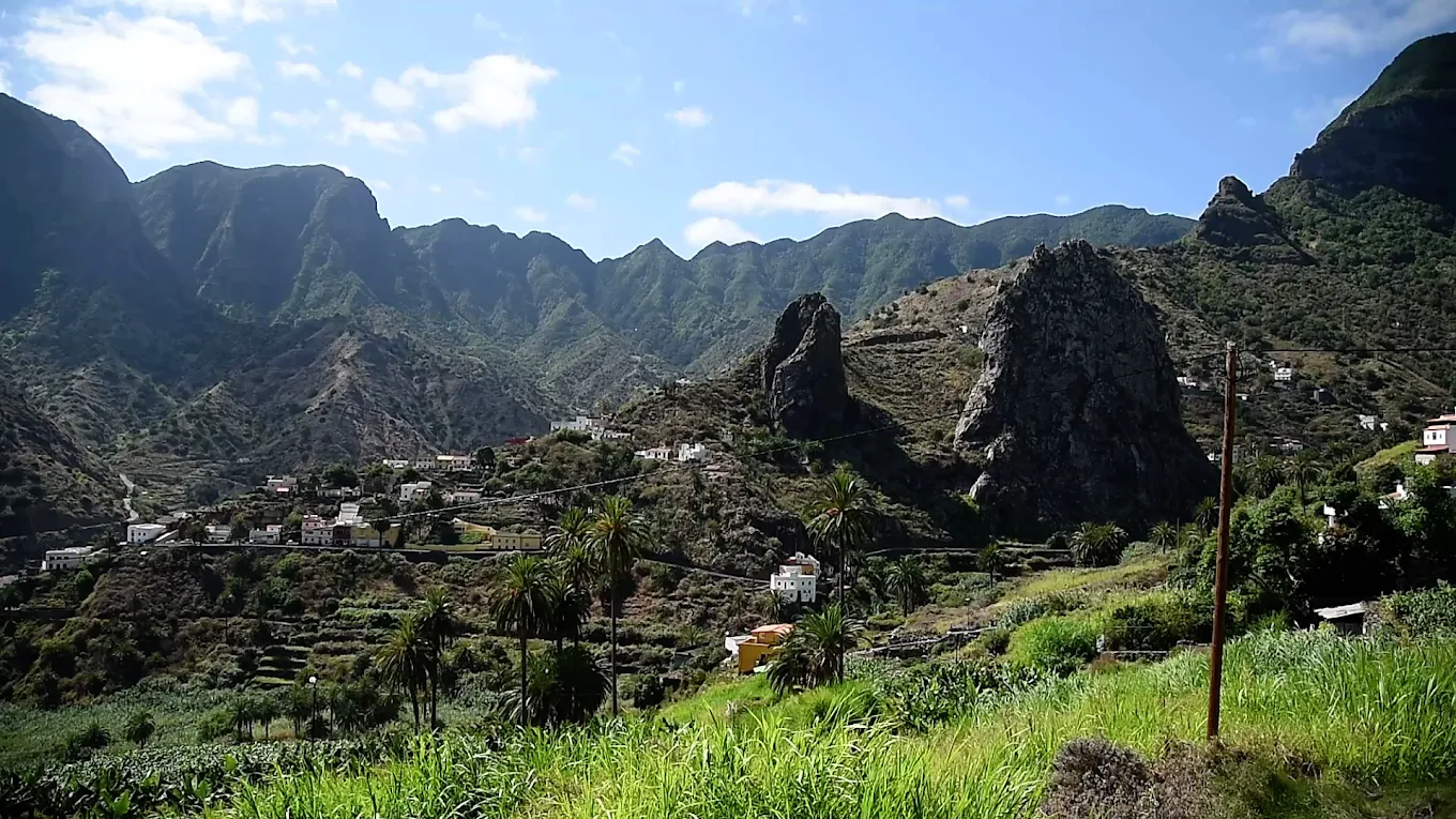 Tamarán excursiones