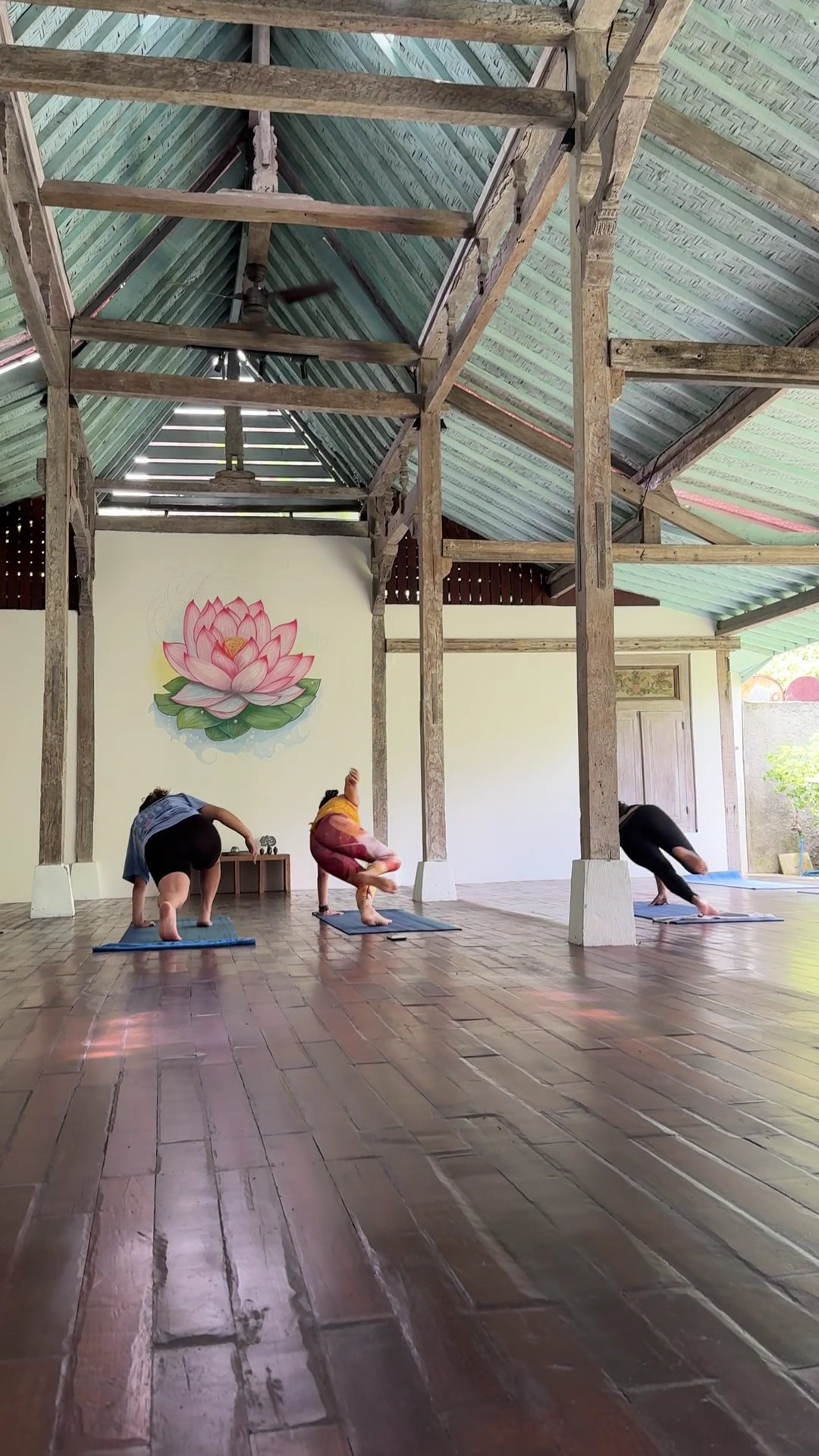Yoga & Wellness in bali photo 3