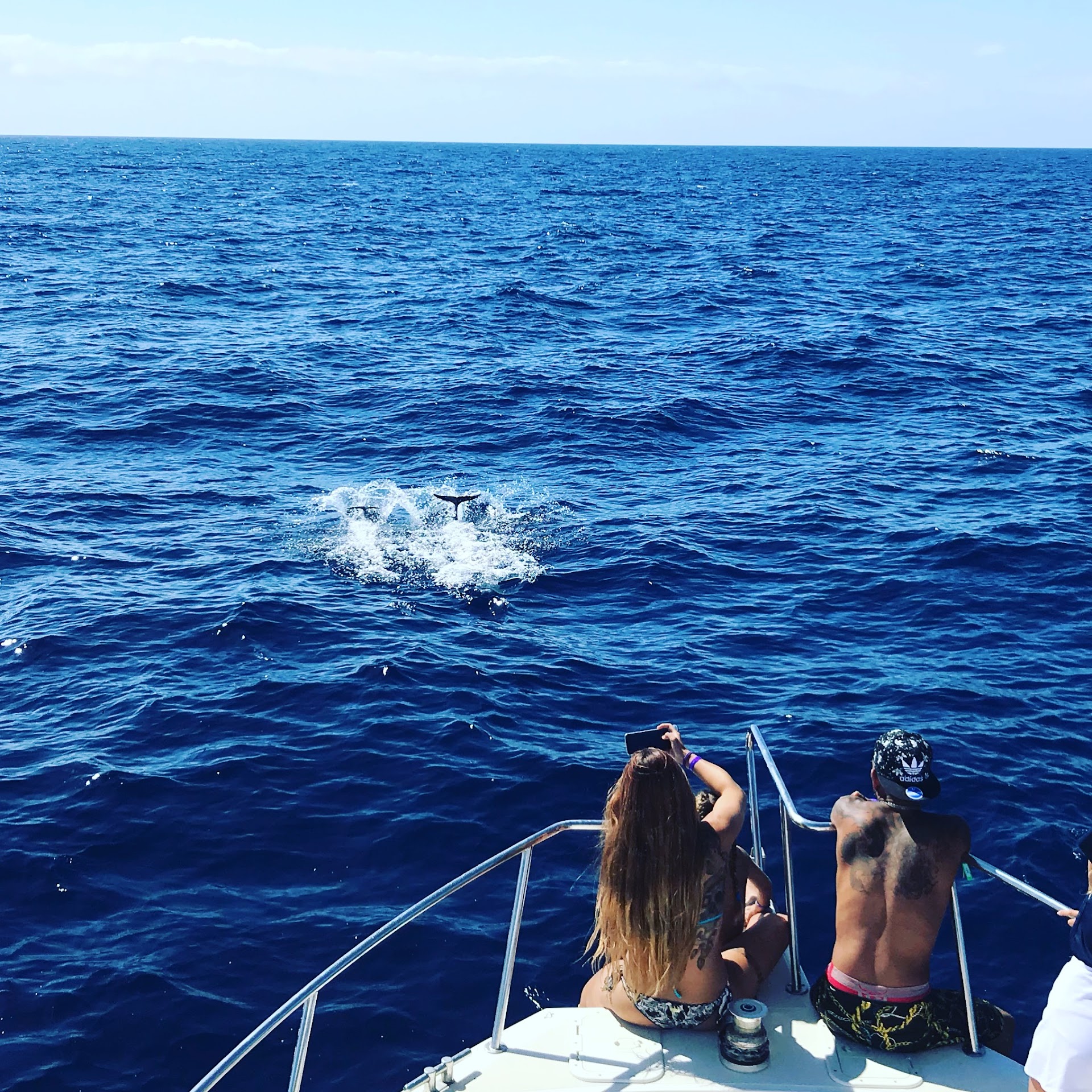 Sunset Cruise in Las Palmas photo 4