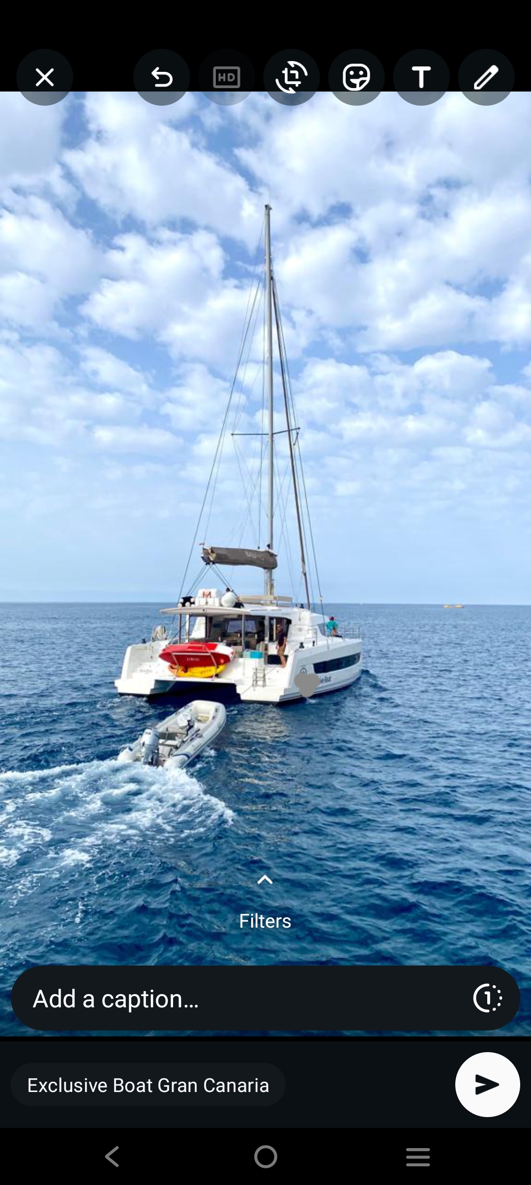 Coconut Trips Canaries