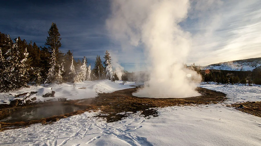 The Wildland Trekking Company