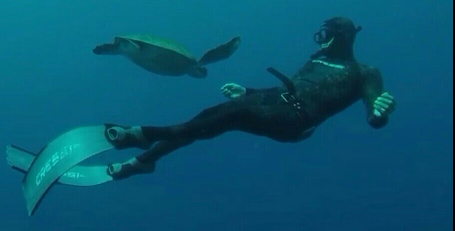 Freediving in Playa de las Américas photo 1