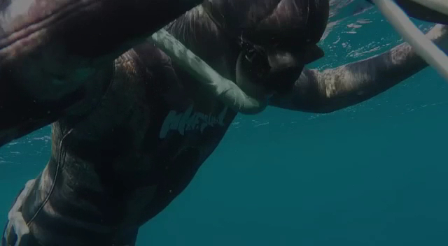 Freediving in Playa de las Américas photo 2