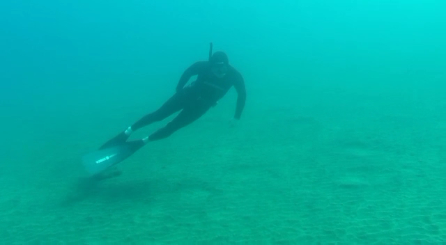 Freediving in Playa de las Américas photo 3