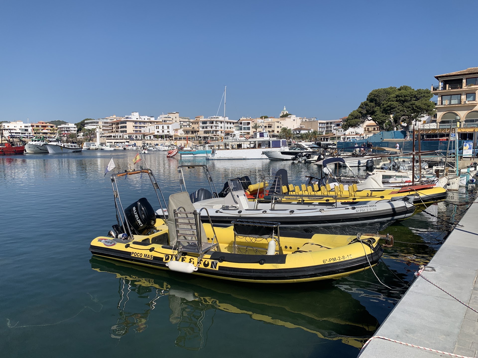 Sailing Lessons in Cala Agulla photo 4
