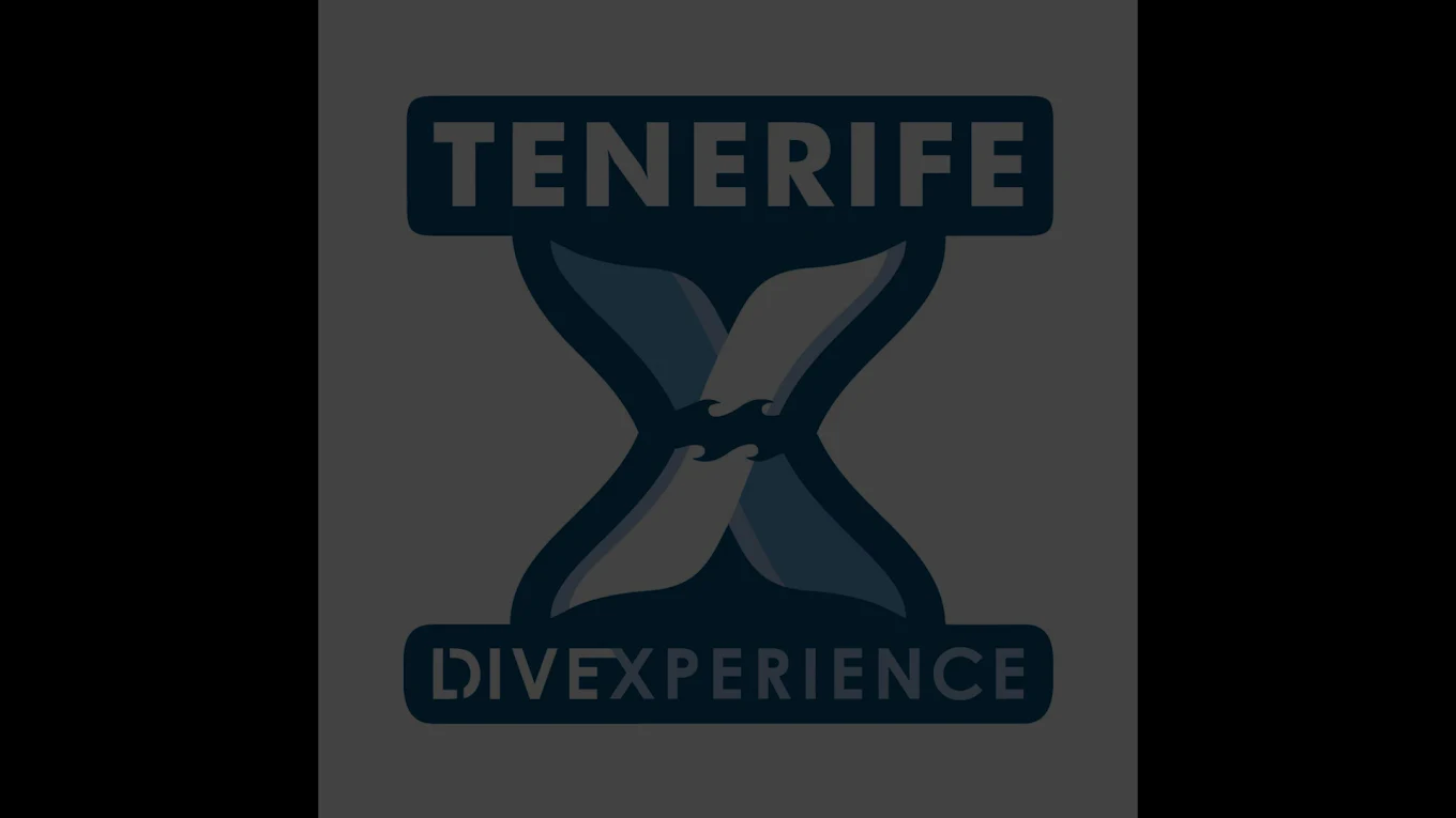 Tenerife Dive Experience - Buceo y snorkel en Costa Adeje