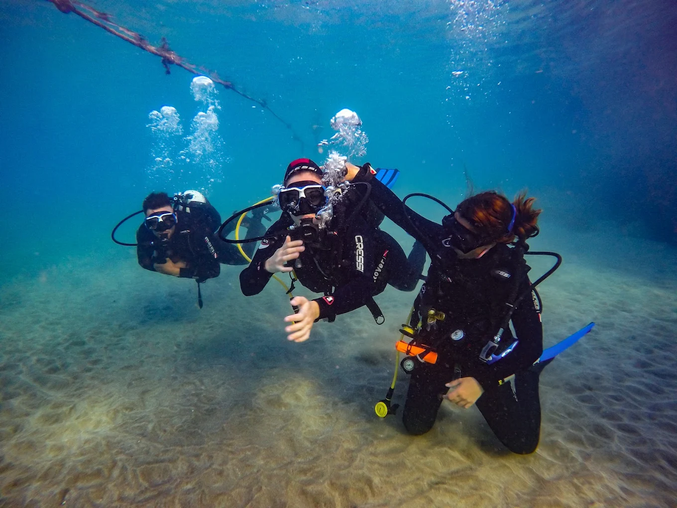 Diving & Snorkeling in La Laguna photo 3