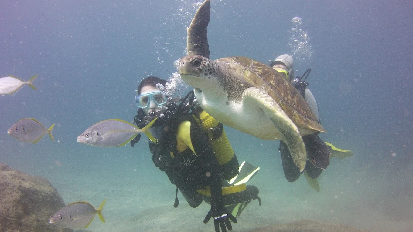 Diving & Snorkeling in La Laguna photo 5