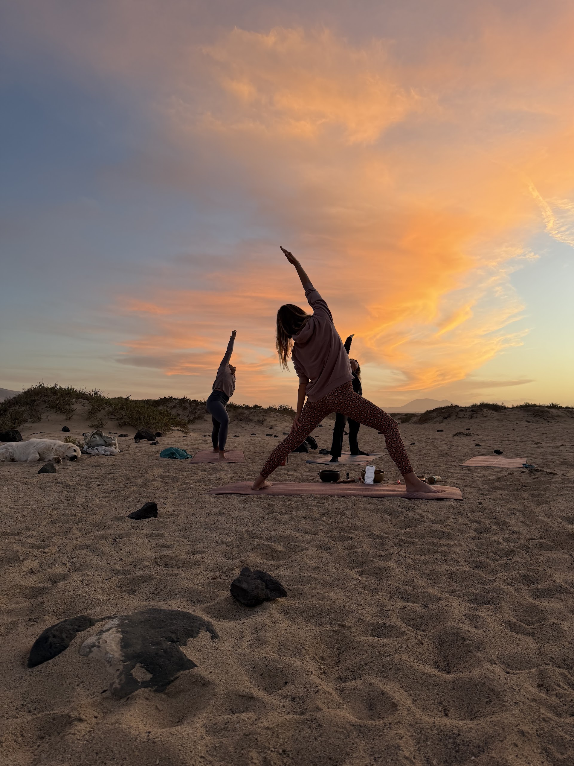 WaveMeUp Yoga & Massage