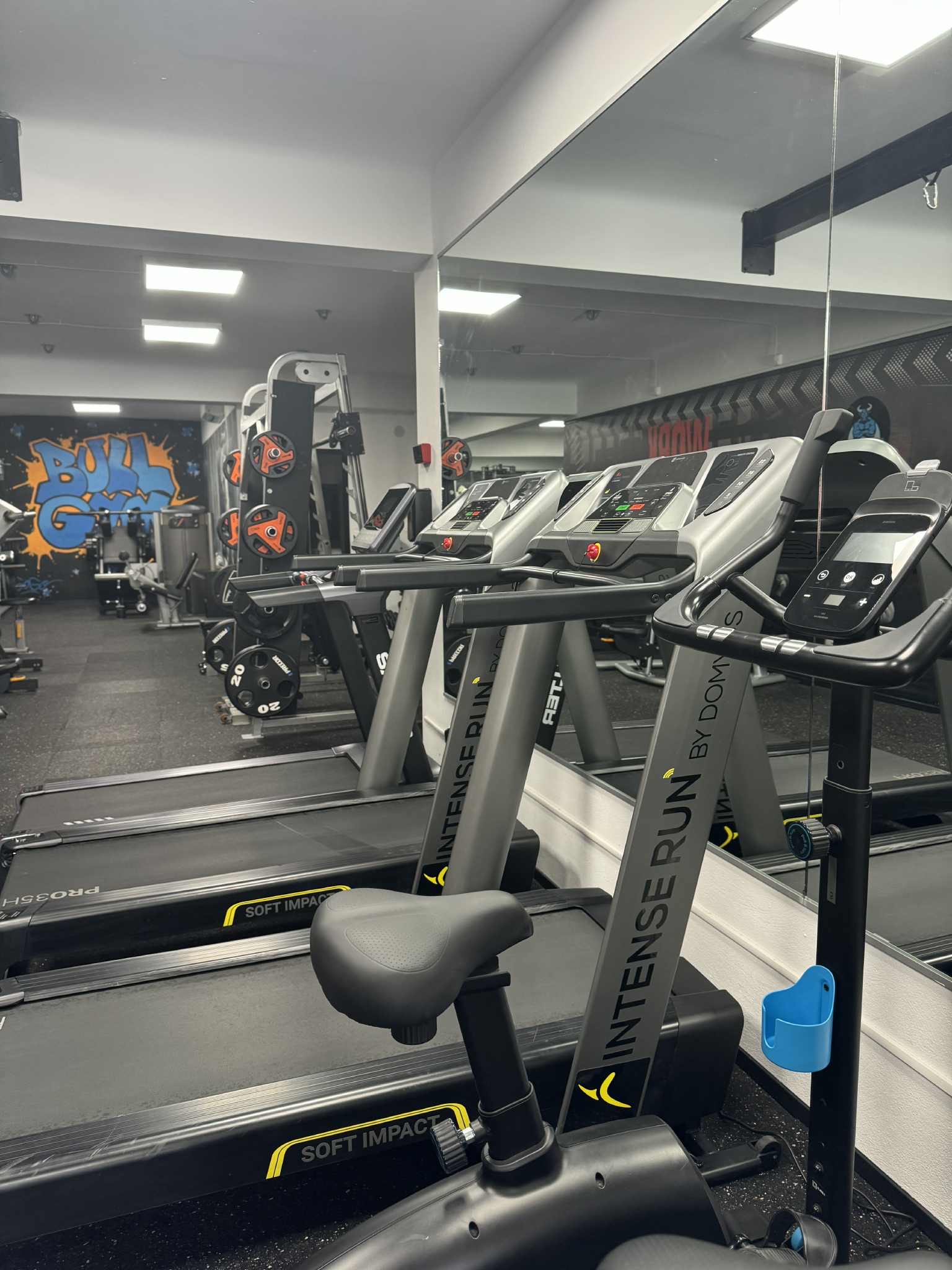 Gyms & Fitness in corsica photo 4