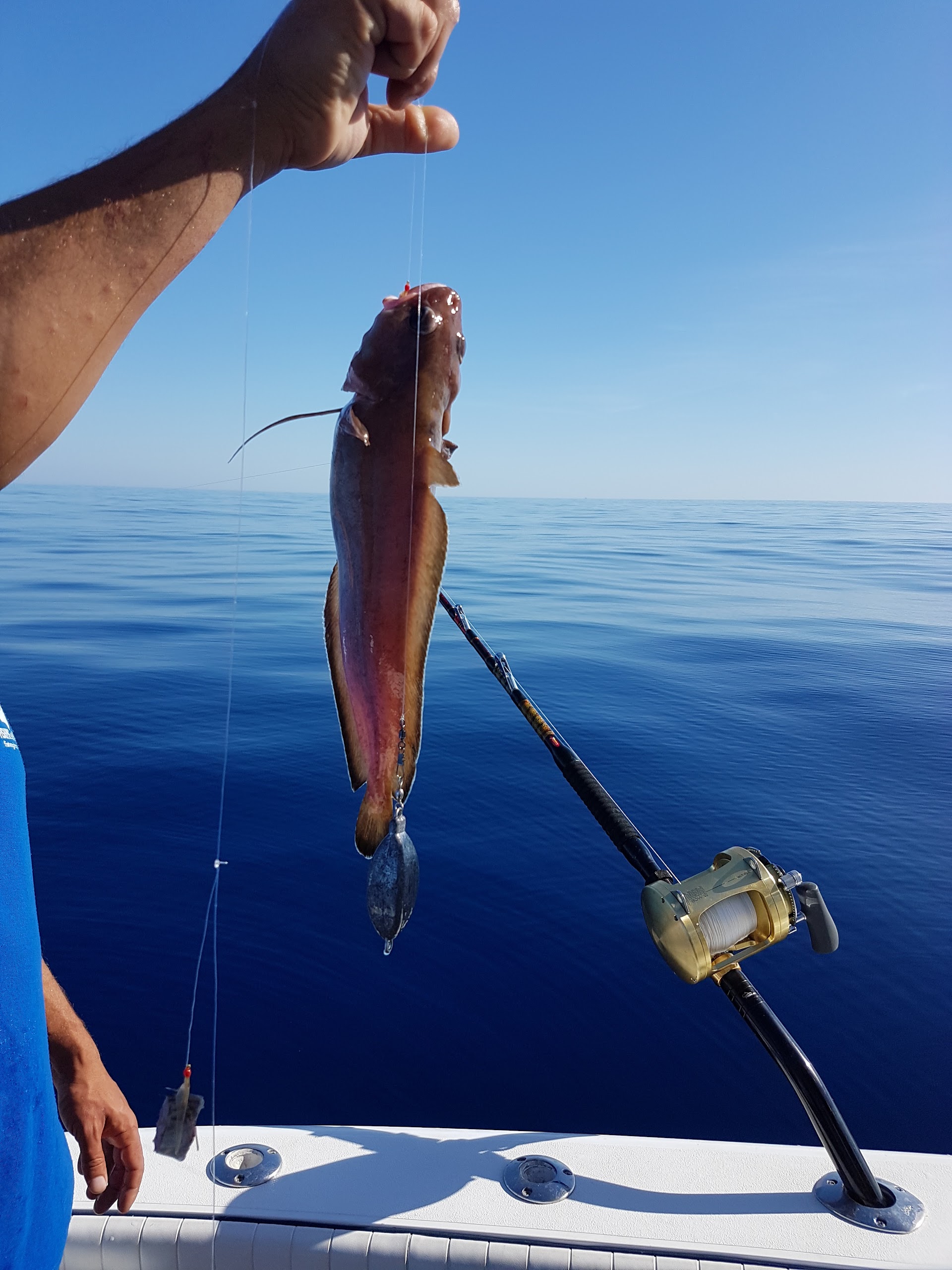 Fishing Charter in Cala Vinyes photo 4