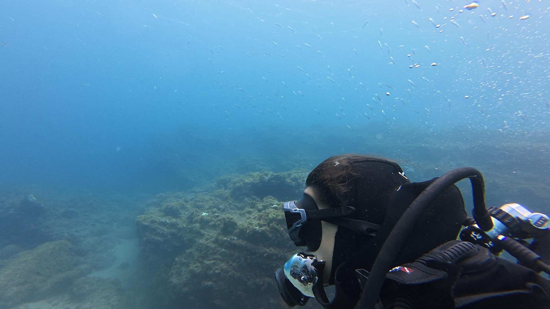 Diving Gáldar photo 2