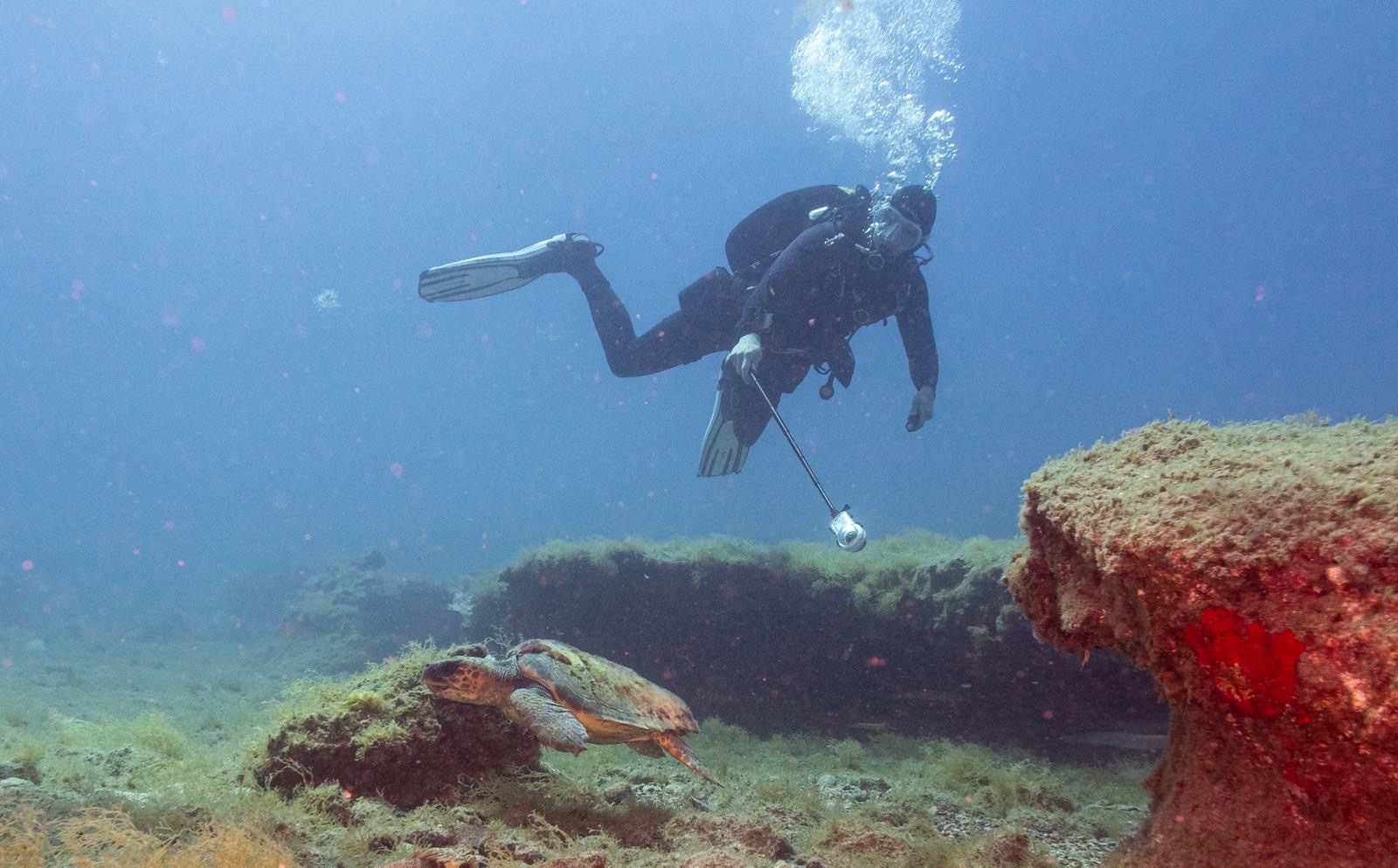 Scuba Courses in Arguineguín photo 2
