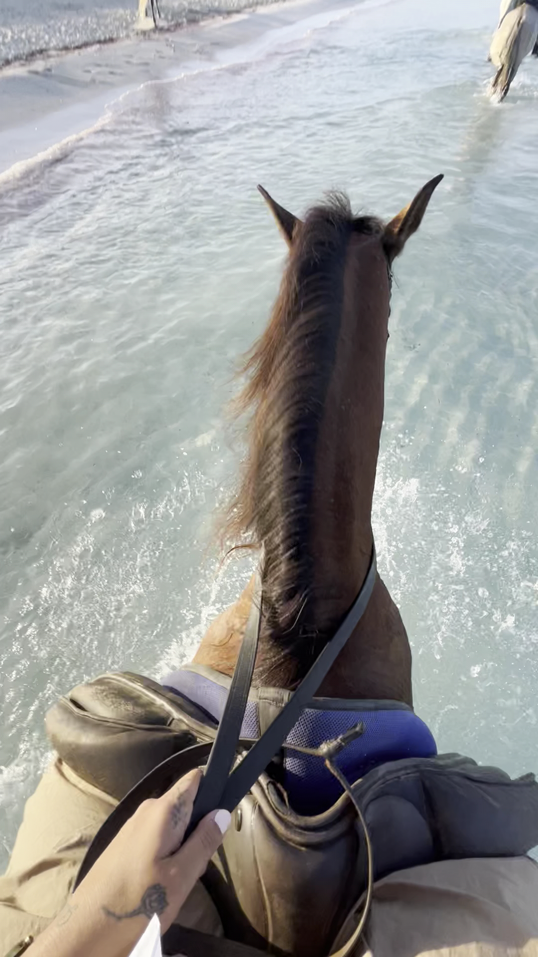 Horseback Riding in La Savina photo 3