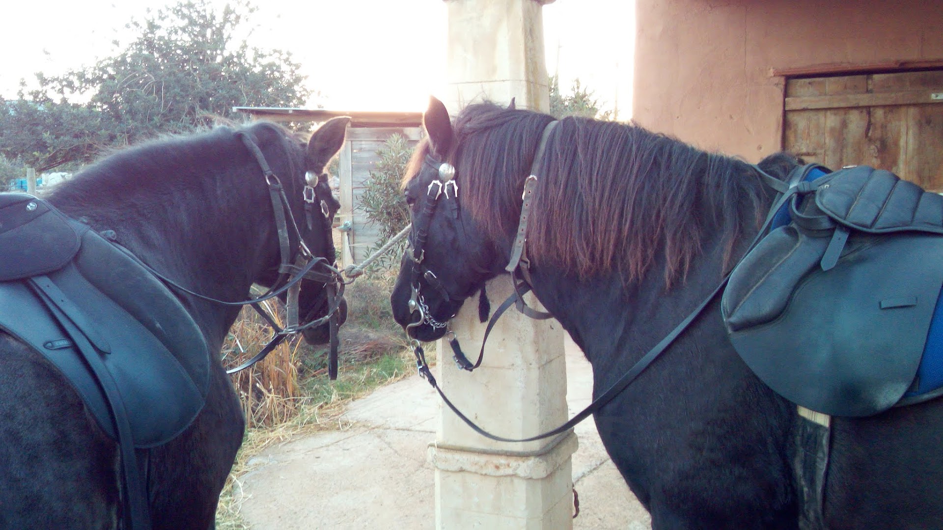 Horseback Riding in La Savina photo 4