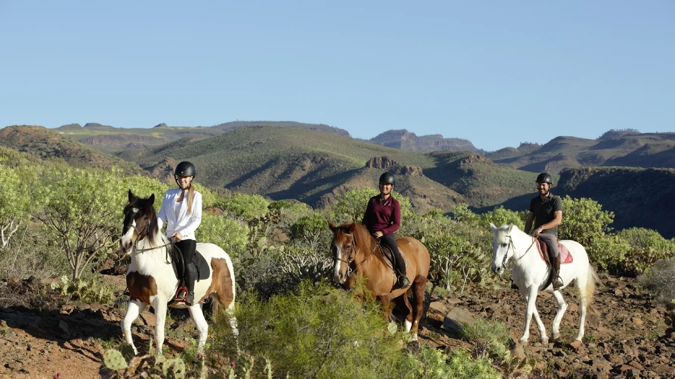 El Salobre Horse Riding