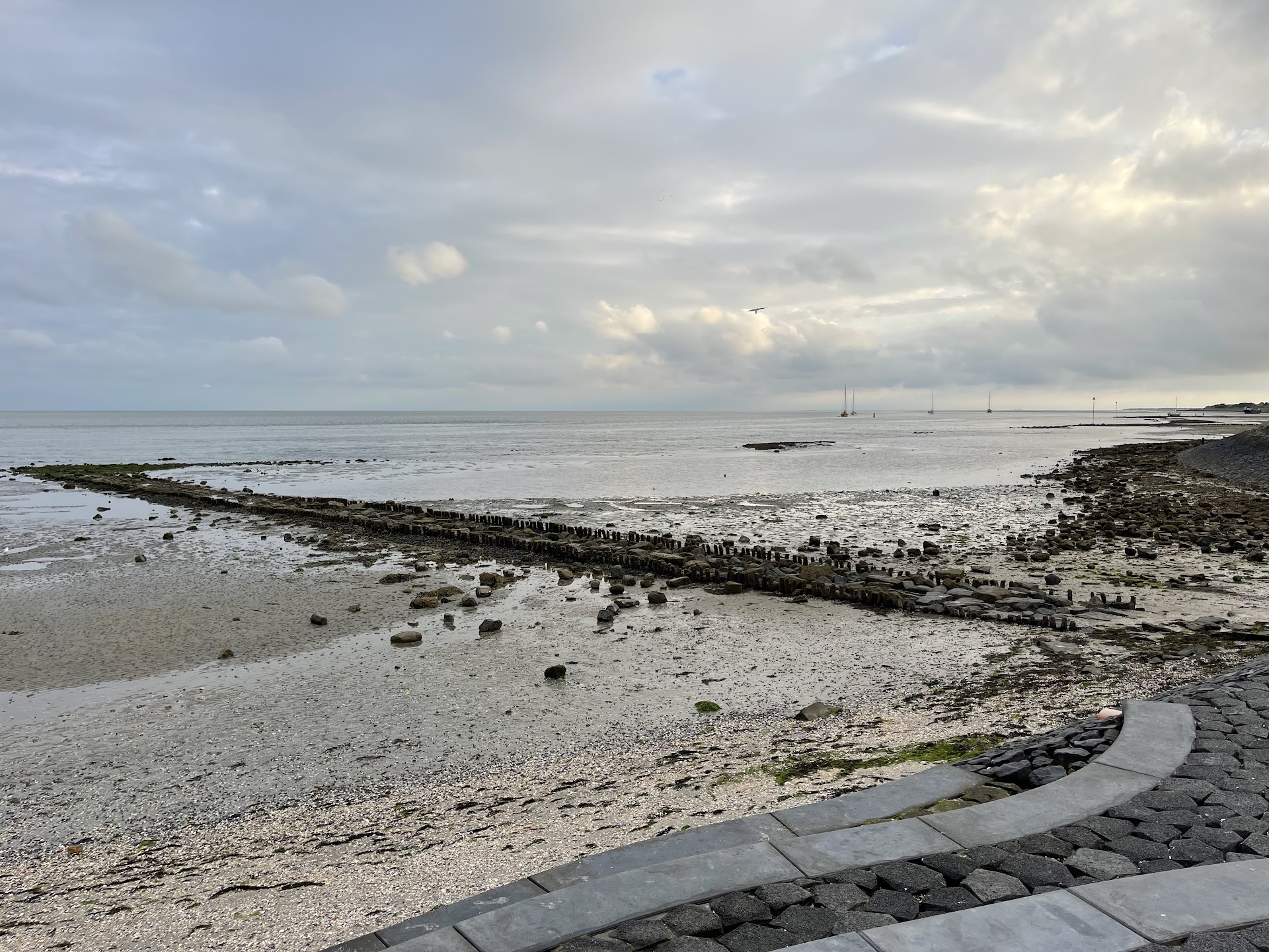 Cocktail Masterclass in Oost-Vlieland photo 4