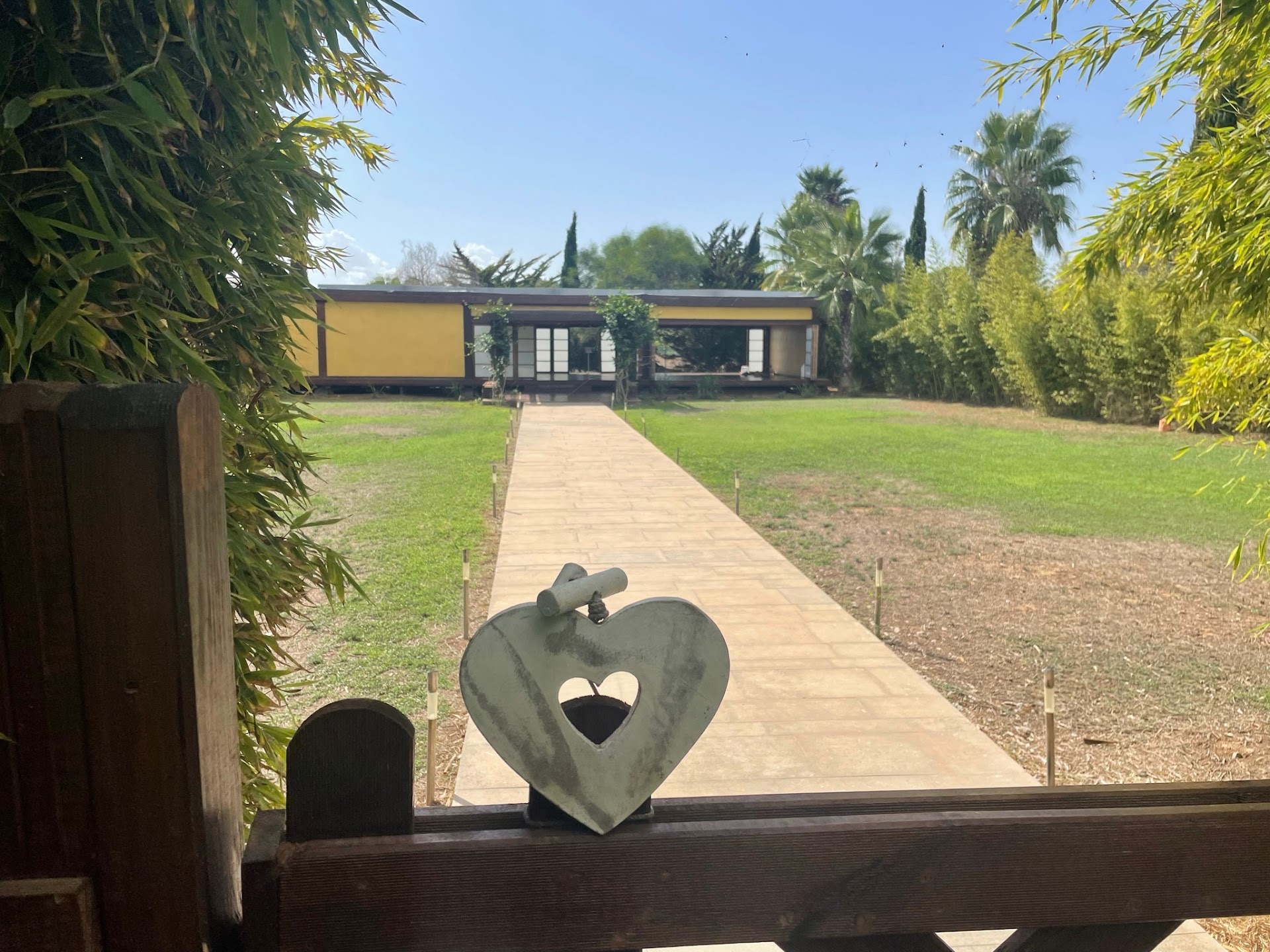 Yoga & Wellness in Talamanca photo 5